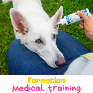 Formation medical training chien