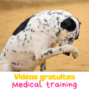 videos gratuites medical training