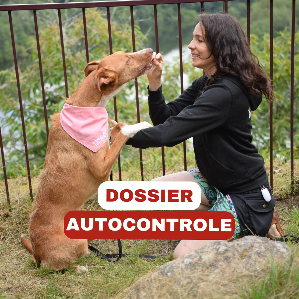 Dossier education autocontroles chien
