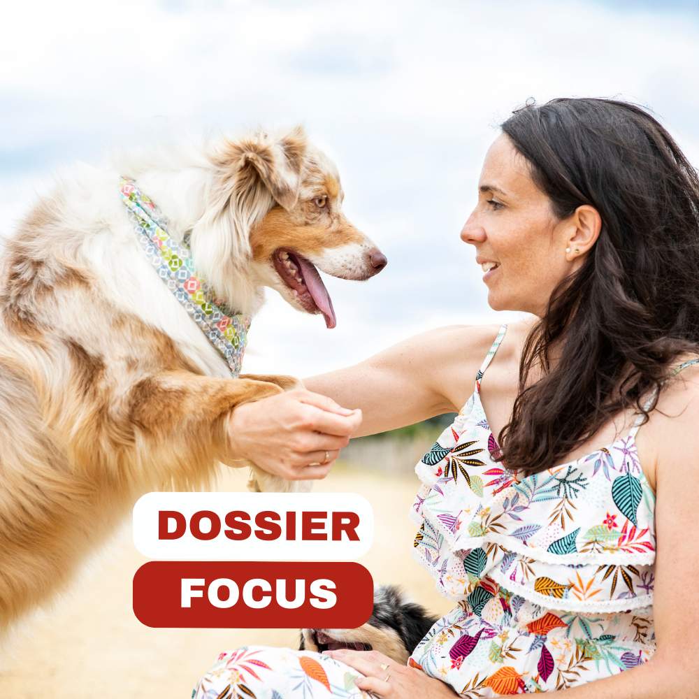 Dossier focus avec son chien