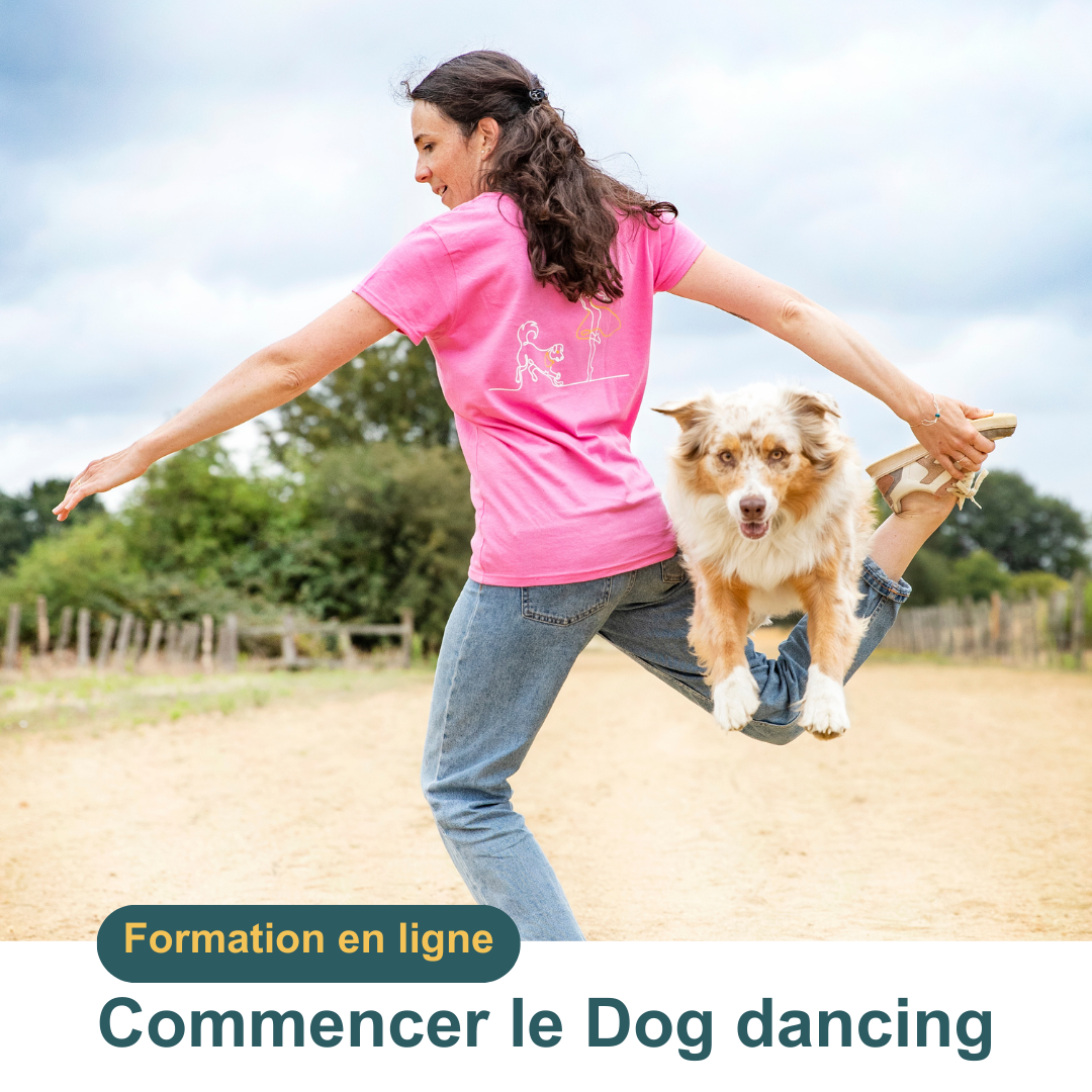 Formation en ligne pour commencer le dog dancing