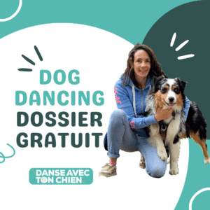 Dossier gratuit dog dancing