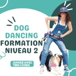 Formation en ligne de dog dancing niveau 2