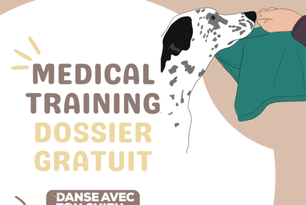 Dossier gratuit medical training chien