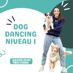Formation en ligne Dog Dancing Niveau 1