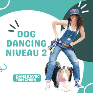 Formation Dog Dancing Niveau 2