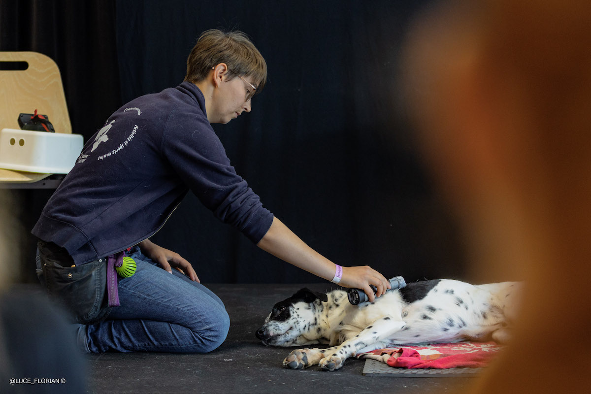 Sophie Bourdon Anim'apaise conference Danse avec ton chien soins coopératifs