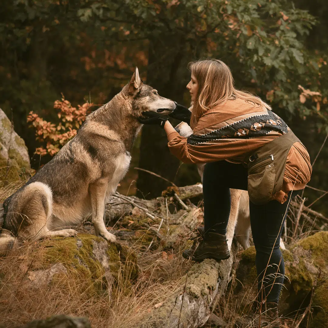 Game of wolves