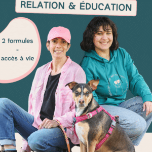 2 formules education canine