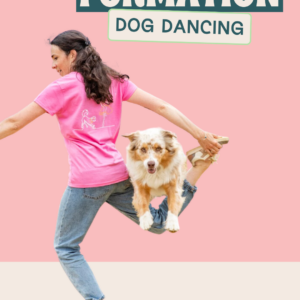 Formation pour commencer le dog dancing