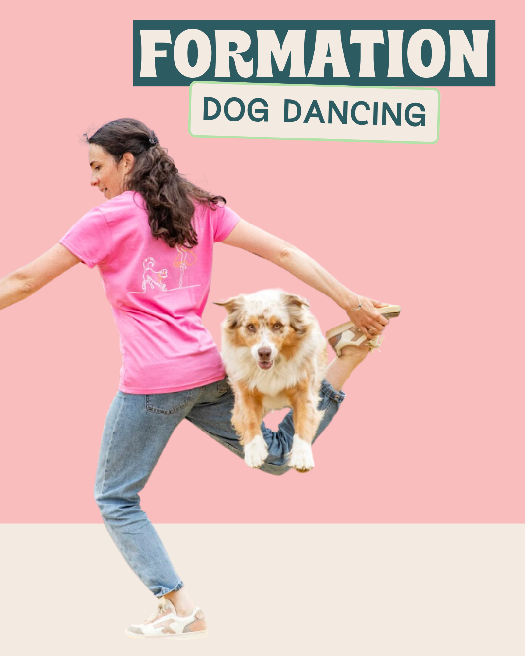 Formation pour commencer le dog dancing