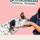 Formation medical training