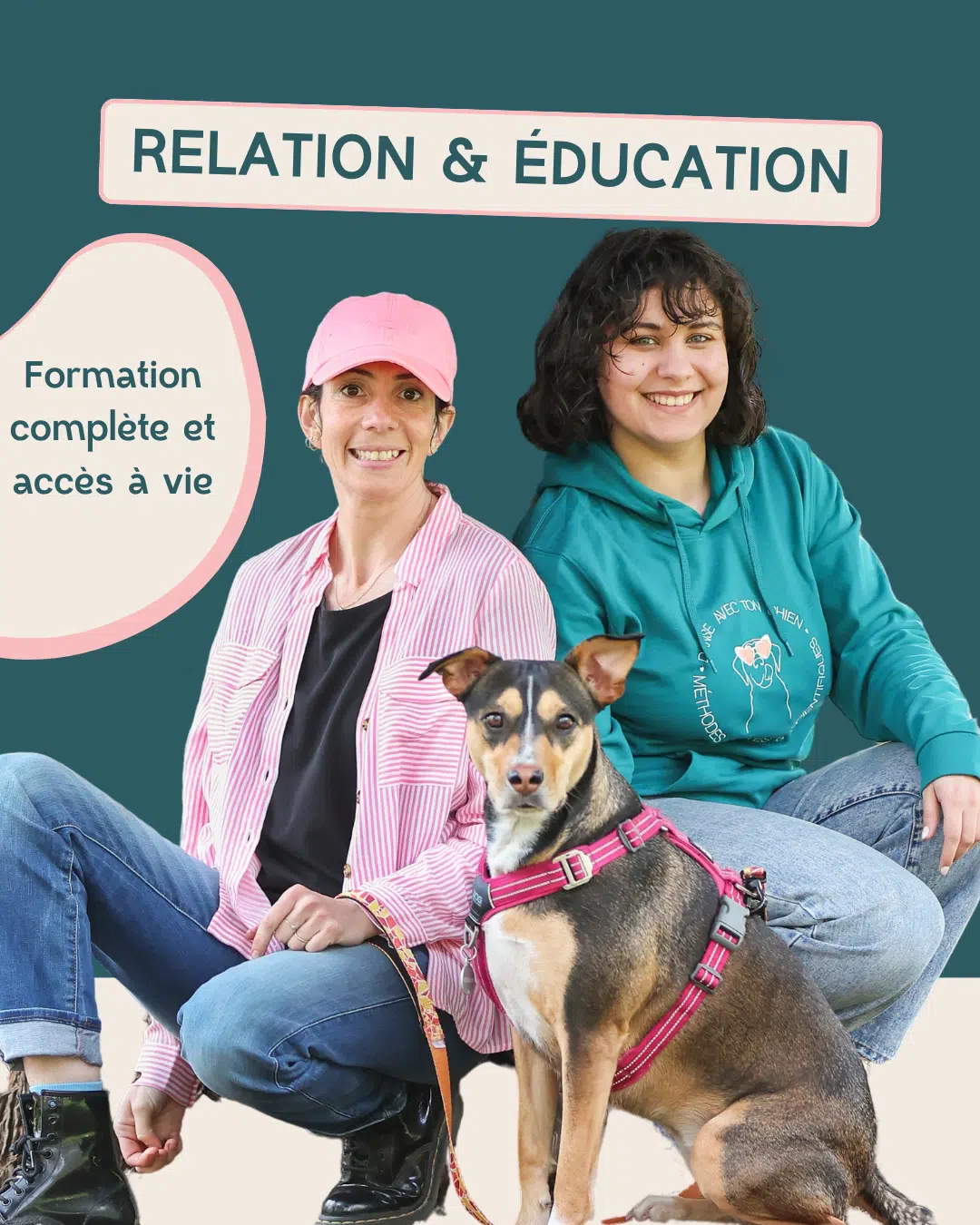 Formation Education canine complète