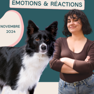 Formation Émotions et Réactions Danse avec ton chien