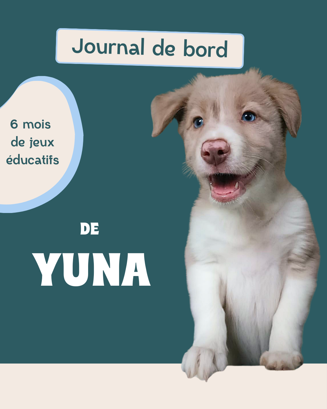 Journal de bord chiot - formation education canine