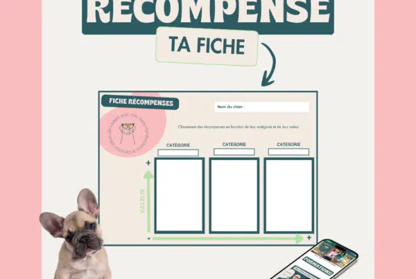 Quelle récompense pour ton chien ?