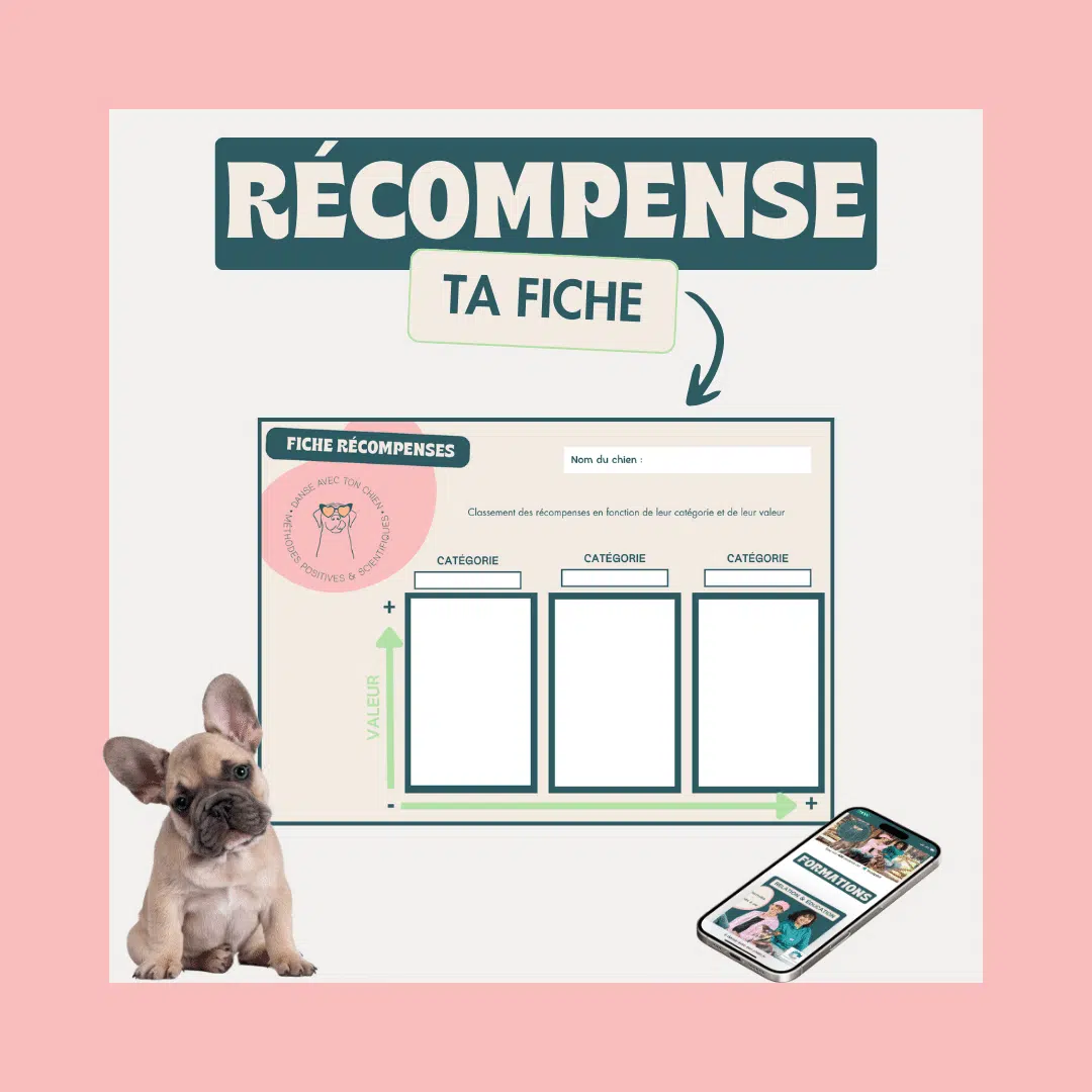 Quelle récompense pour ton chien ?
