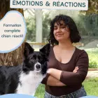 Formation reactivité danse avec ton chien