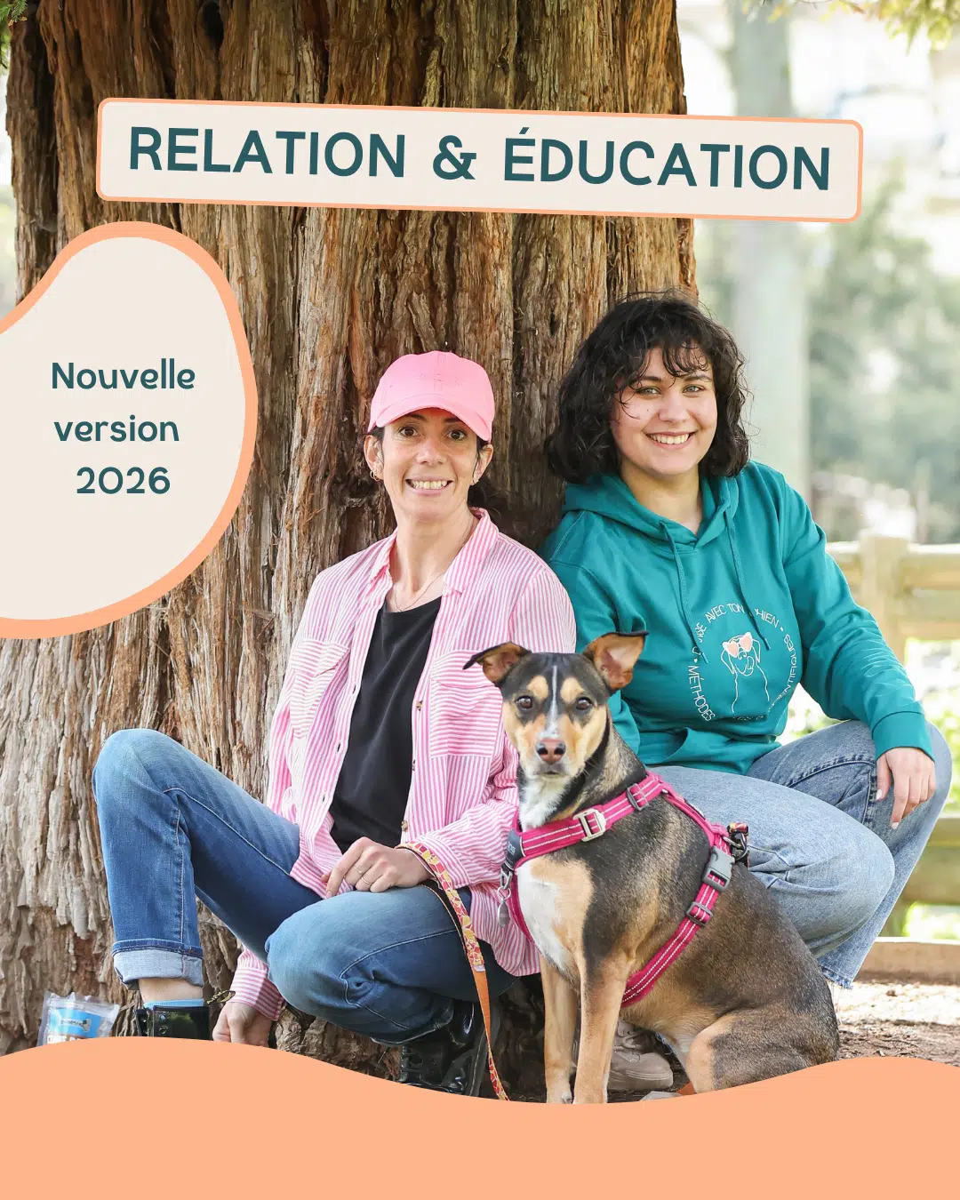 Formation d'éducation canine Danse avec ton chien