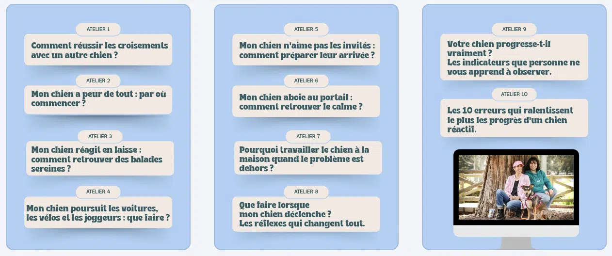 10 questions que les humains de chiens réactifs se posent