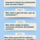 4 premiers ateliers