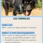 Les formules pour les ateliers chiens réactifs