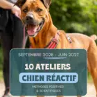 pack 10 conférences