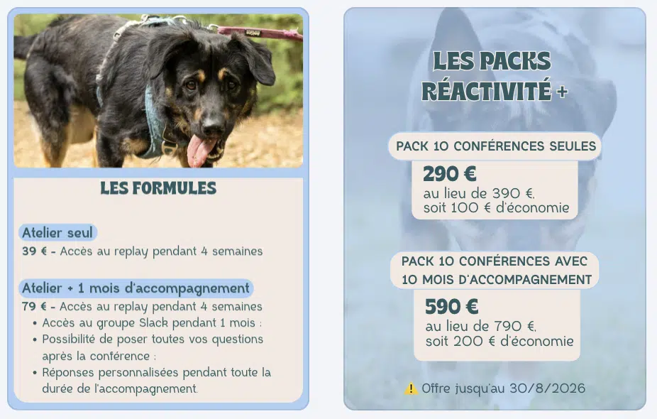 formules et packs chien réactif
