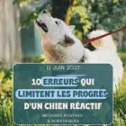 Les 10 erreurs qui ralentissent le plus la progression de votre chien réactif