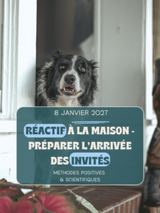 préparer l'arrivée des invitée avec un chien réactif